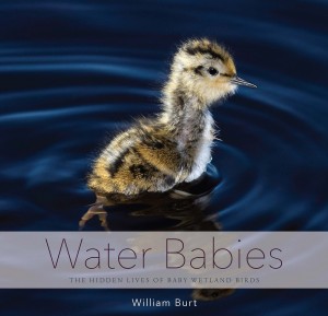 Water BabiesâCOVER Â©Wm Burt