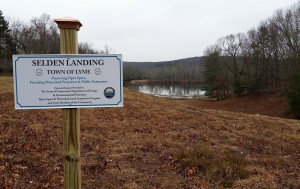 Selden Landing