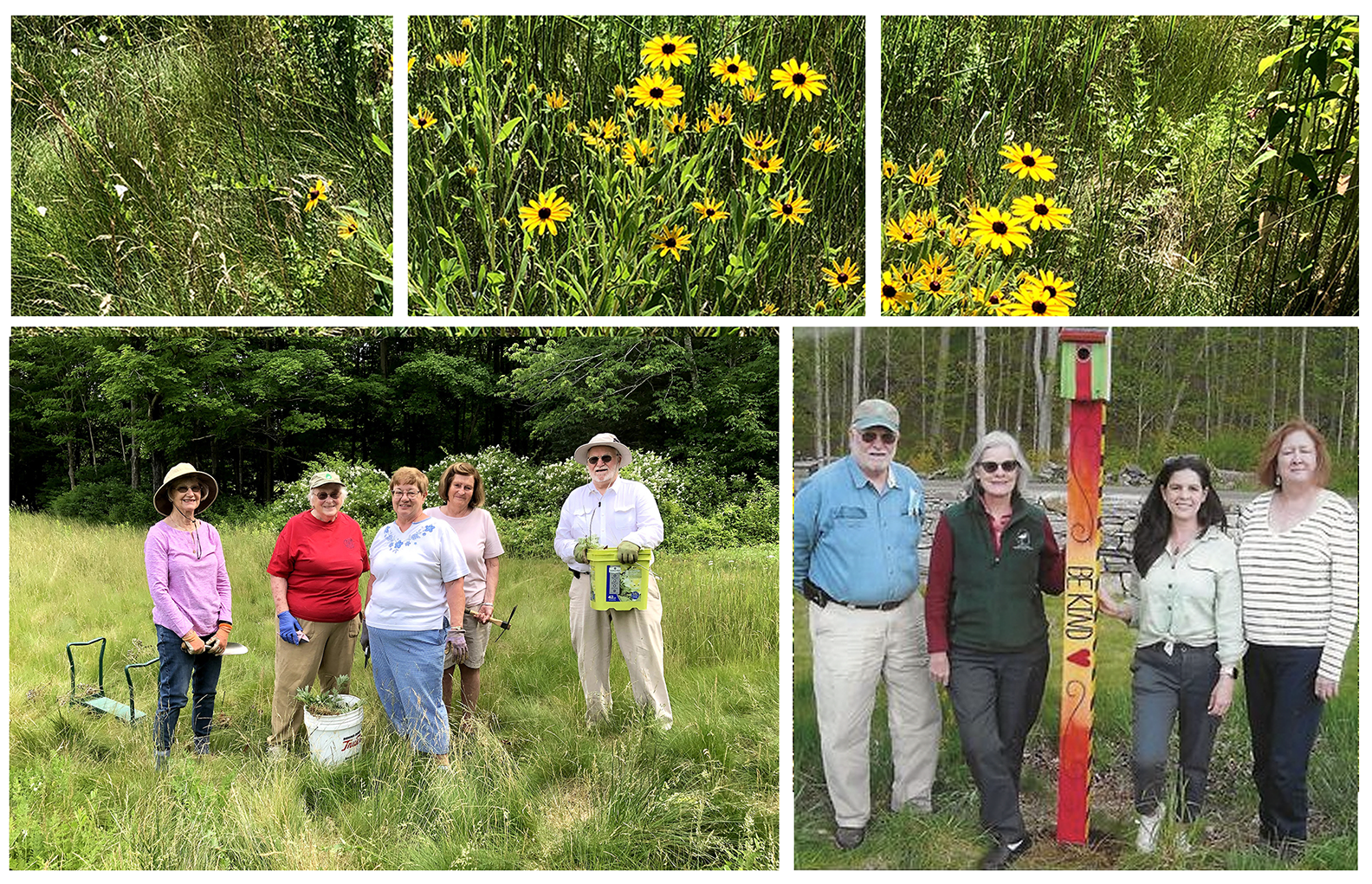 Read more about the article Lyme Garden Club and Lyme Pollinator Pathway