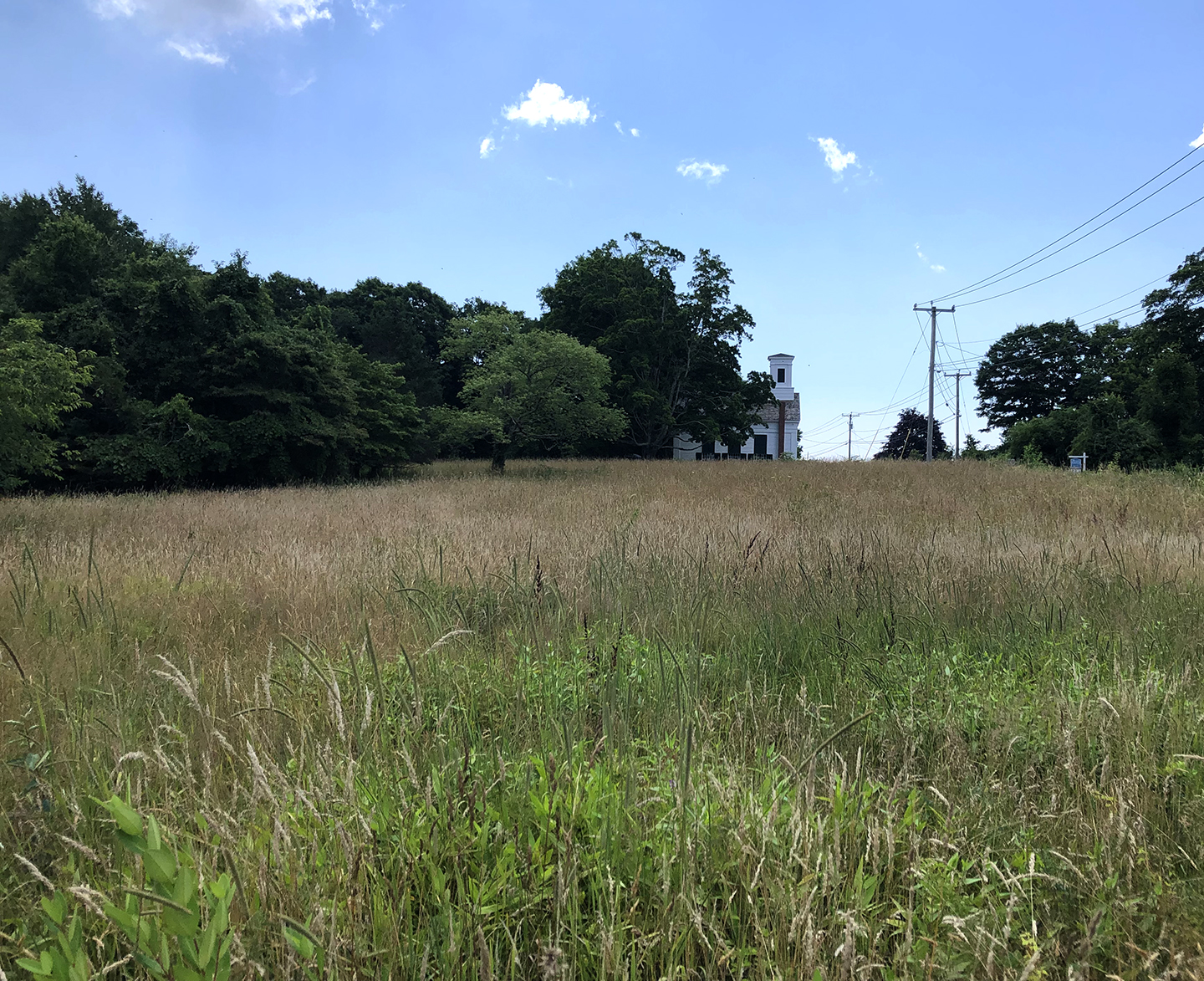 Read more about the article Grassy Hill Preserve Meadow