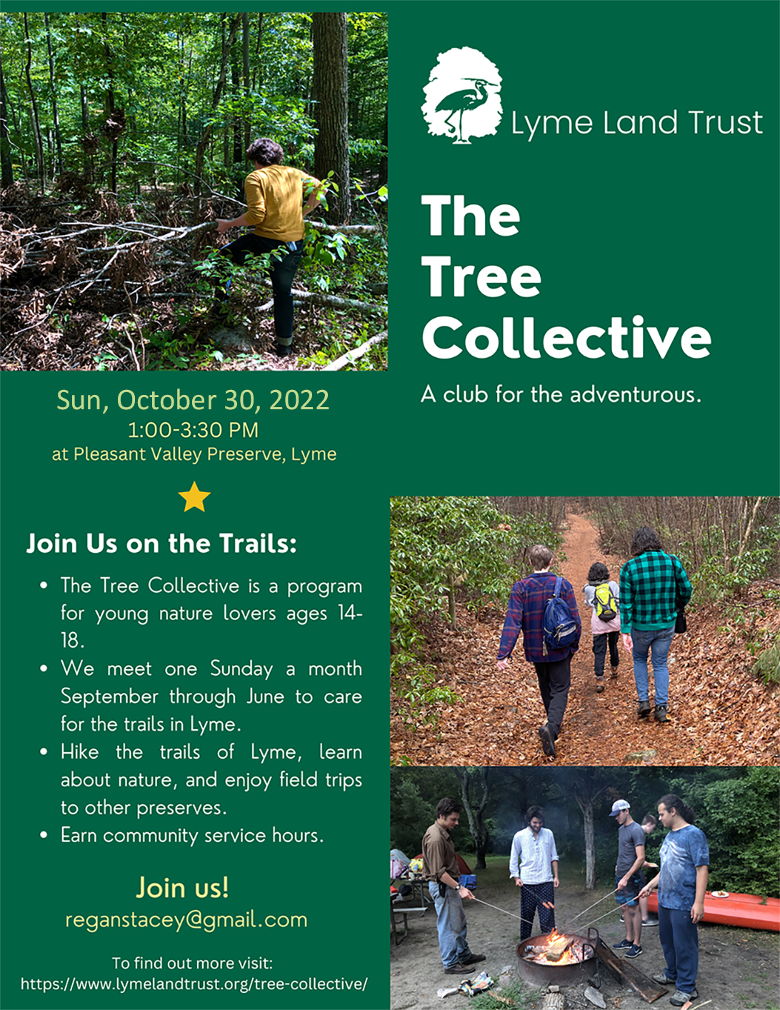 Tree Collective- Teen Steward Group Meet-up – Lyme Land Conservation Trust