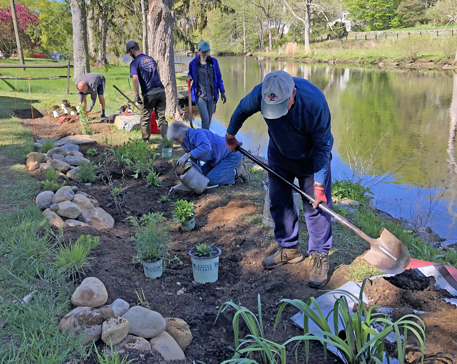 Read more about the article Reed Landing Rain Garden Project Phase 2